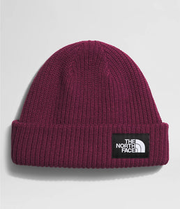 The North Face Salty Lined Beanie Boysenberry
