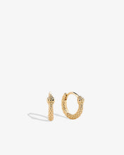 Load image into Gallery viewer, Bryan Anthonys Begin Again Mini Hoop Earrings