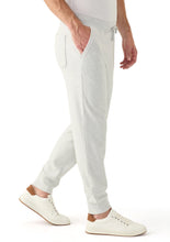 Load image into Gallery viewer, Vineyard Vines Calmwater Joggers in Ultimate Gray