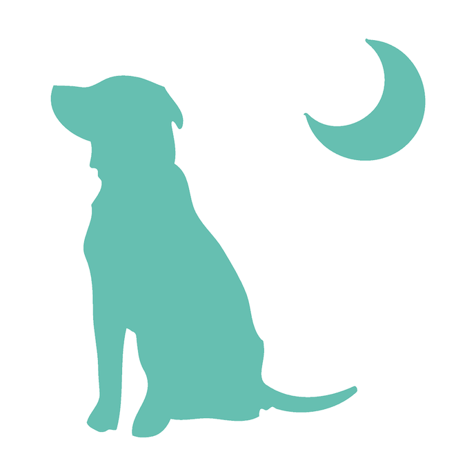 Local Boy Dog & Moon Decal Mint