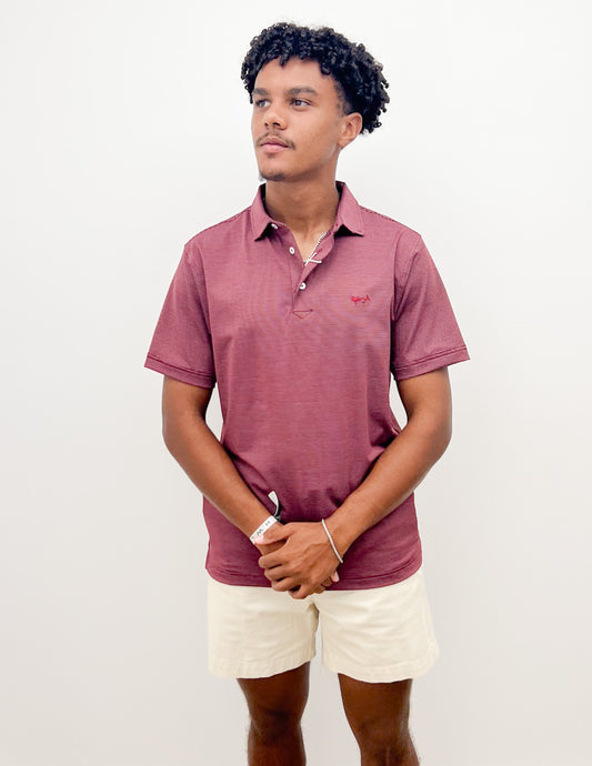 Coastal Cotton Mineral White And Maroon Stripe Polo