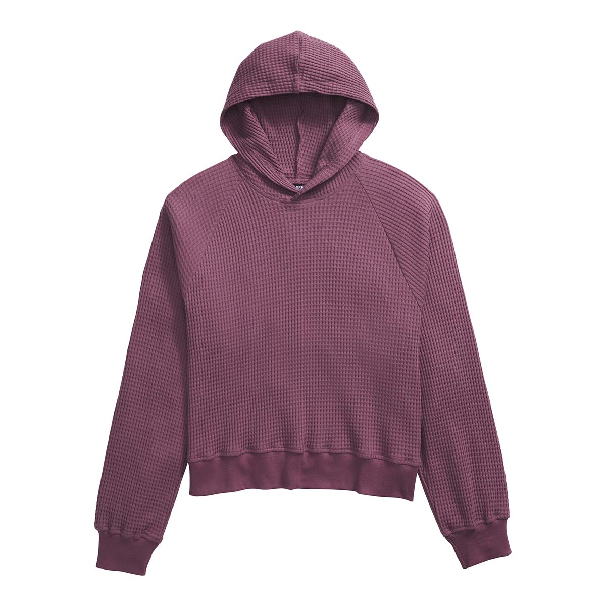 The North Face Women's Mock Neck Chabot Hoodie in Midnight Mauve