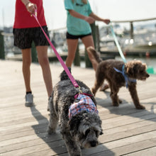 Load image into Gallery viewer, Local Boy Biothane Dog Leash in Pink