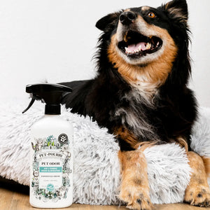 Pet~Pourri Pawsitively Fresh Air+Fabric Odor Refresher