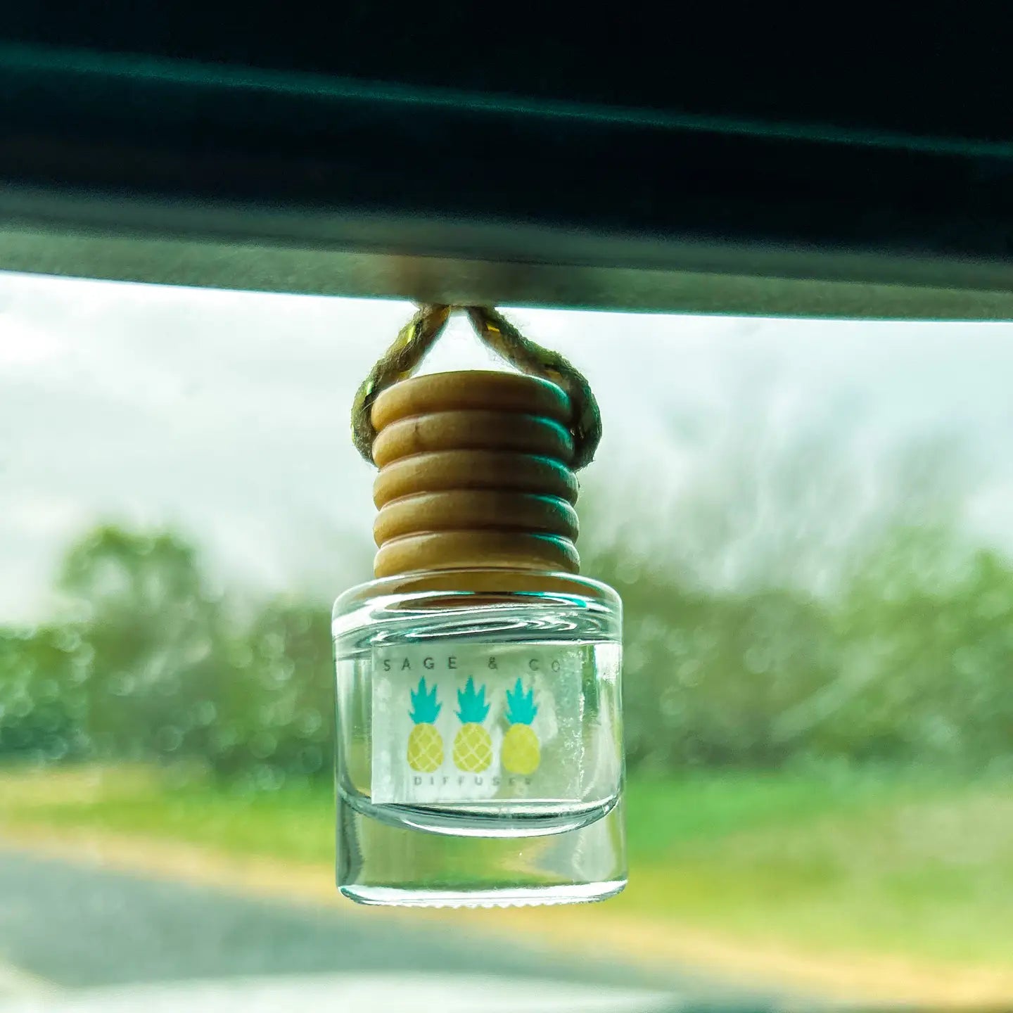 Sage & Co. Car Diffuser Spring and Summer Scent in Malibu Breeze