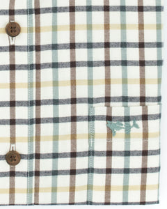 Coastal Cotton Live Oak Cotton Twill Button Down