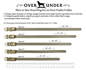 Over Under Water Dog Collar Olive